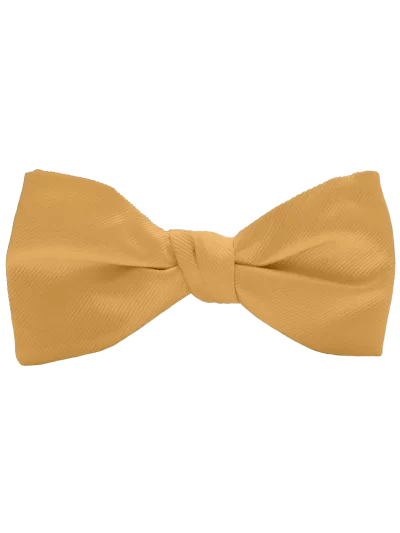 Midas Gold Bow Tie & Pocket Square